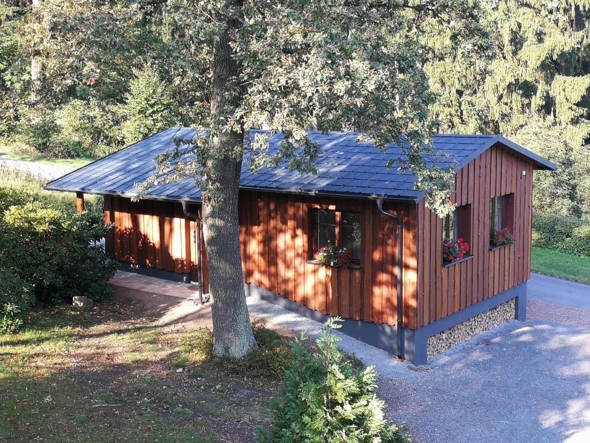 Haus Waldfrieden Apartamento Altenberg  Exterior foto