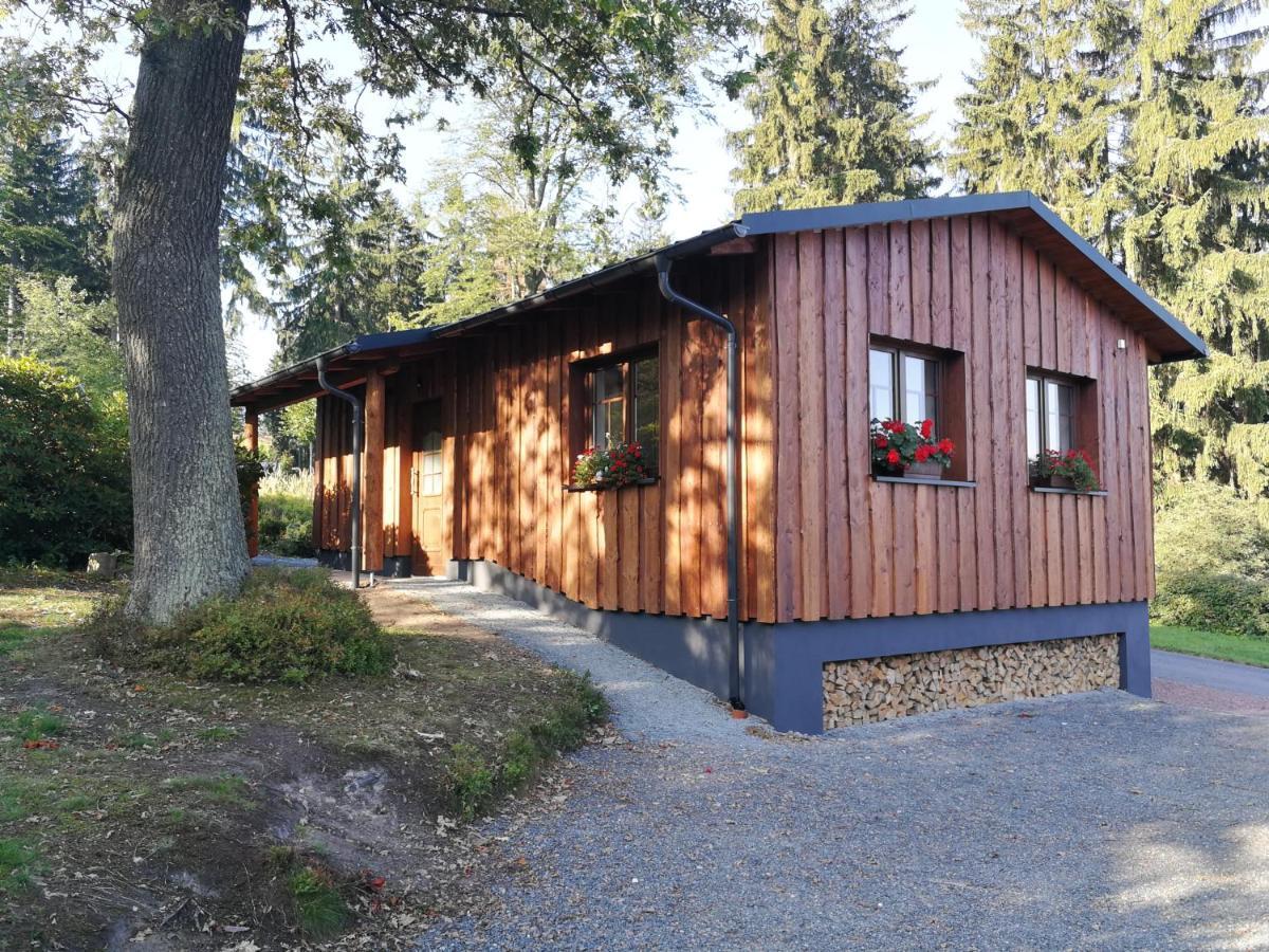 Haus Waldfrieden Apartamento Altenberg  Exterior foto