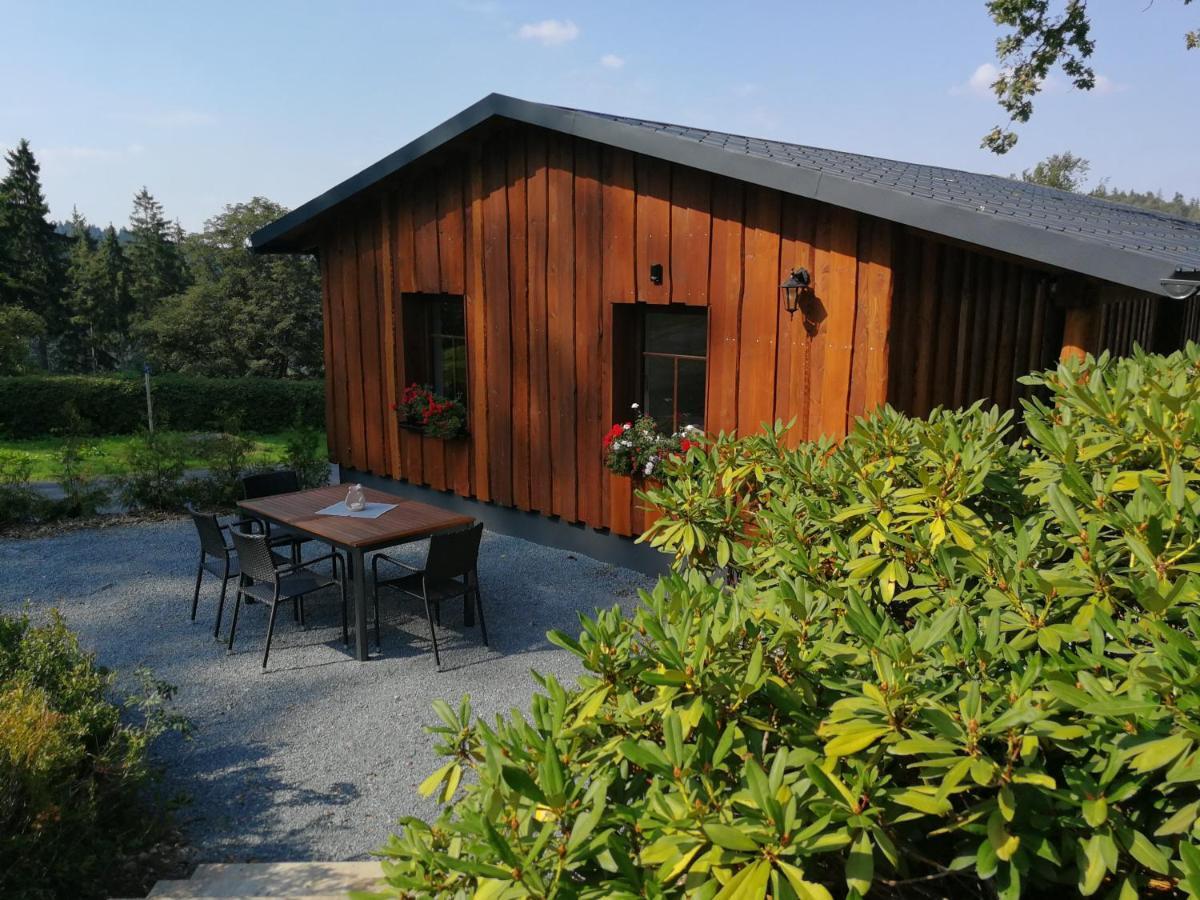 Haus Waldfrieden Apartamento Altenberg  Exterior foto